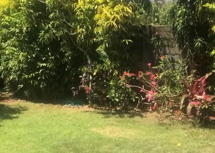 Harmony Garden *
