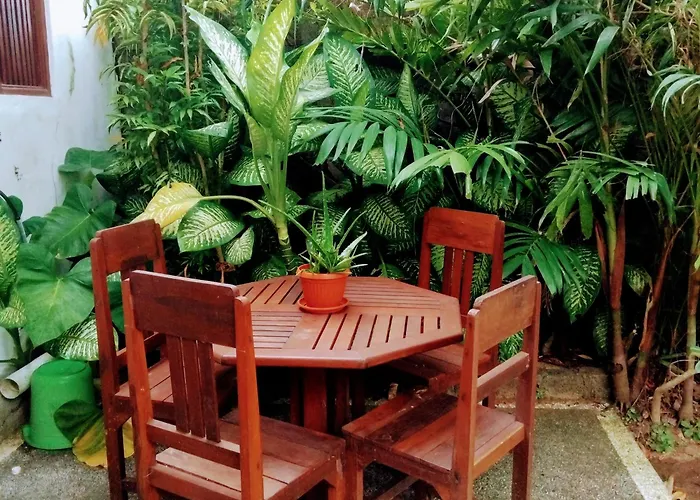 Harmony Garden *
